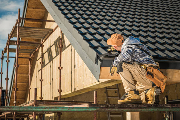 Best Roof Moss and Algae Removal  in Bellefontaine, OH